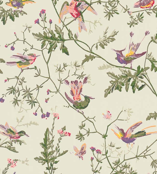 Hummingbirds Wallpaper - Green - Cole & Son