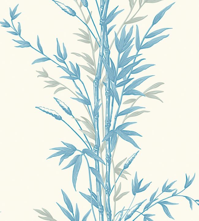 Bamboo Wallpaper - Teal - Cole & Son