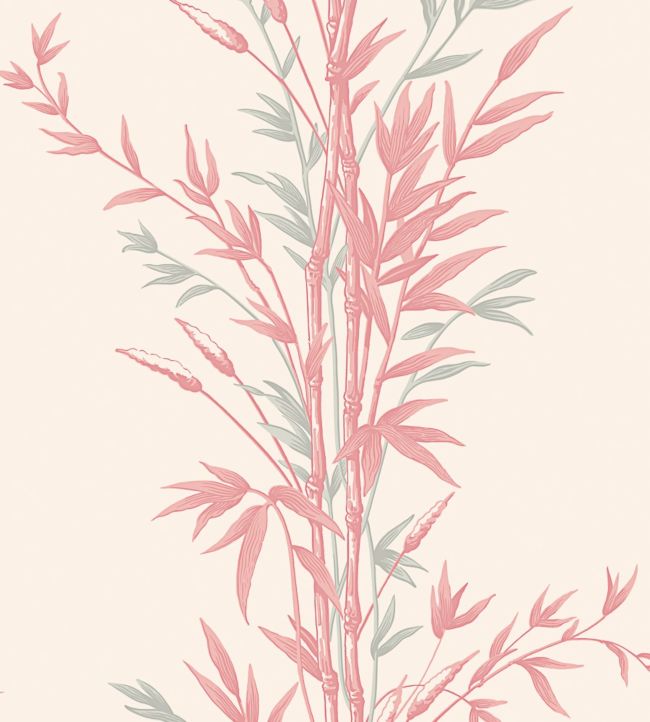 Bamboo Wallpaper - Pink