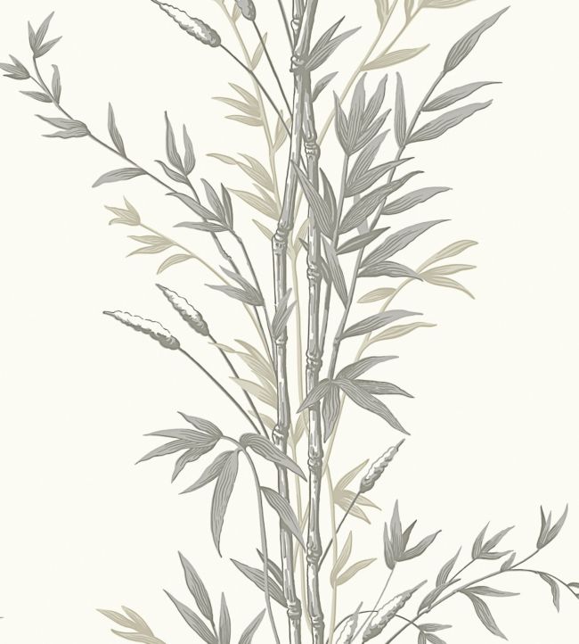 Bamboo Wallpaper - Gray