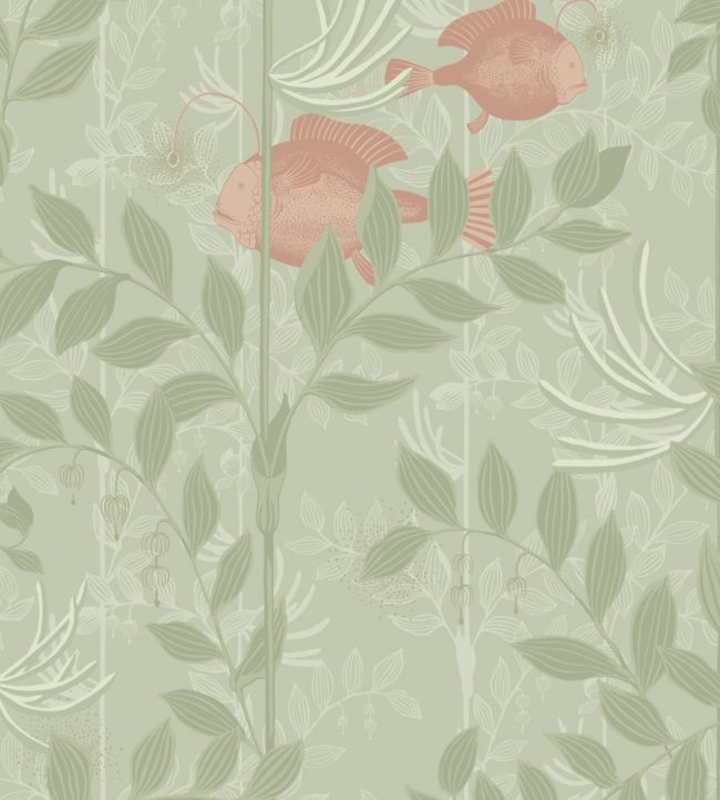 Nautilus Wallpaper - Green 