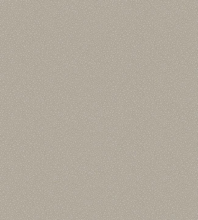 Pebble Wallpaper - Gray  - Cole & Son