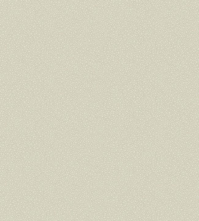Pebble Wallpaper - Cream  - Cole & Son