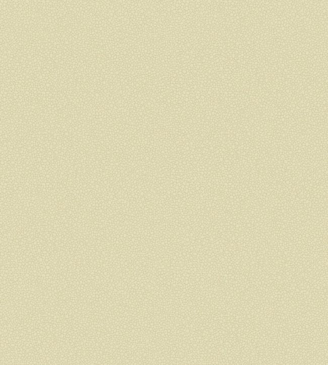 Pebble Wallpaper - Sand  - Cole & Son