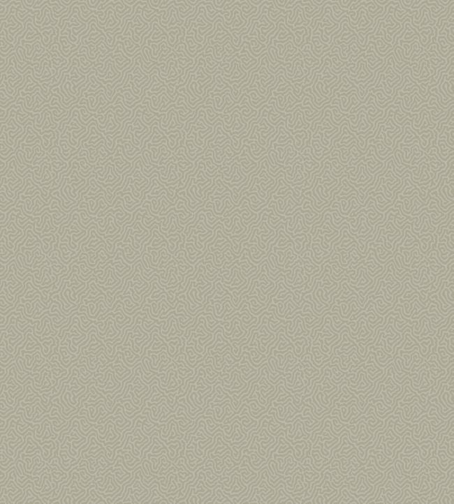 Coral Wallpaper - Gray - Cole & Son