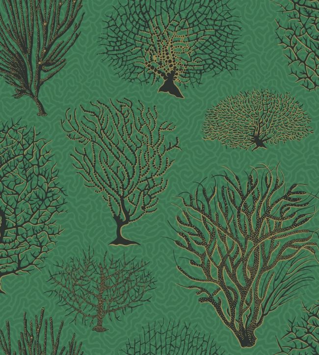 Seafern Wallpaper - Green - Cole & Son