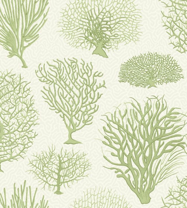 Seafern Wallpaper - Green 