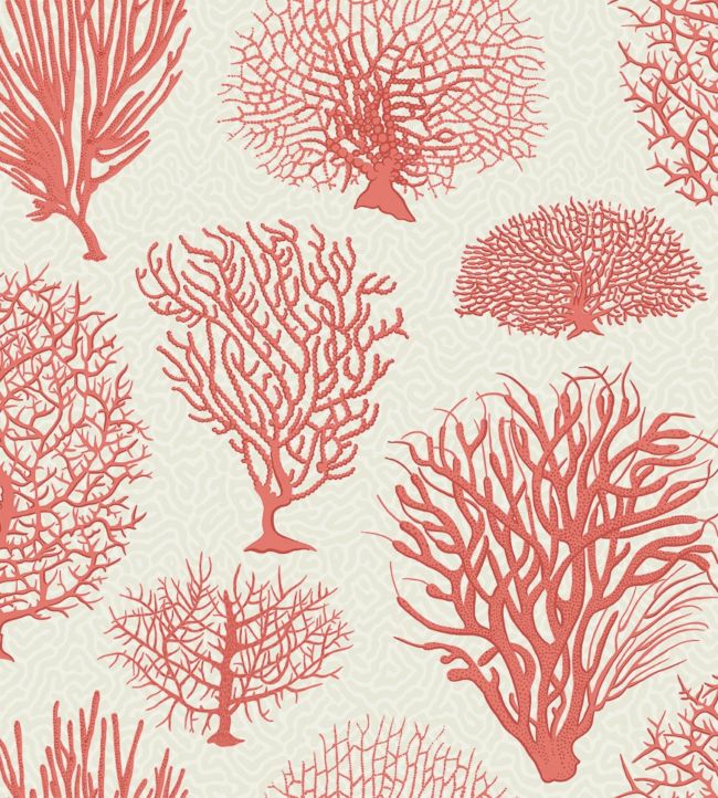Seafern Wallpaper - Pink