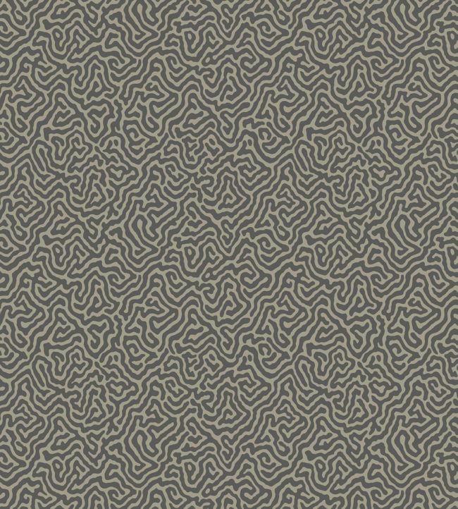 Vermicelli Wallpaper - Gray  - Cole & Son