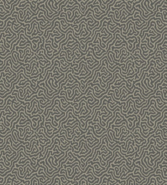 Vermicelli Wallpaper - Gray  - Cole & Son