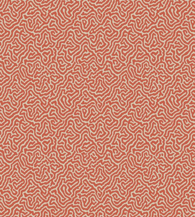 Vermicelli Wallpaper - Pink  - Cole & Son