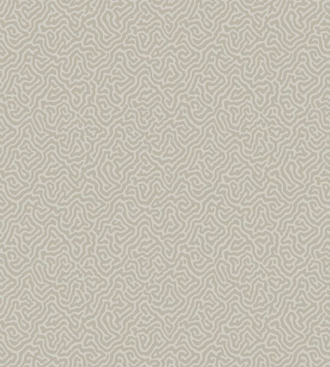 Vermicelli Wallpaper - White - Cole & Son