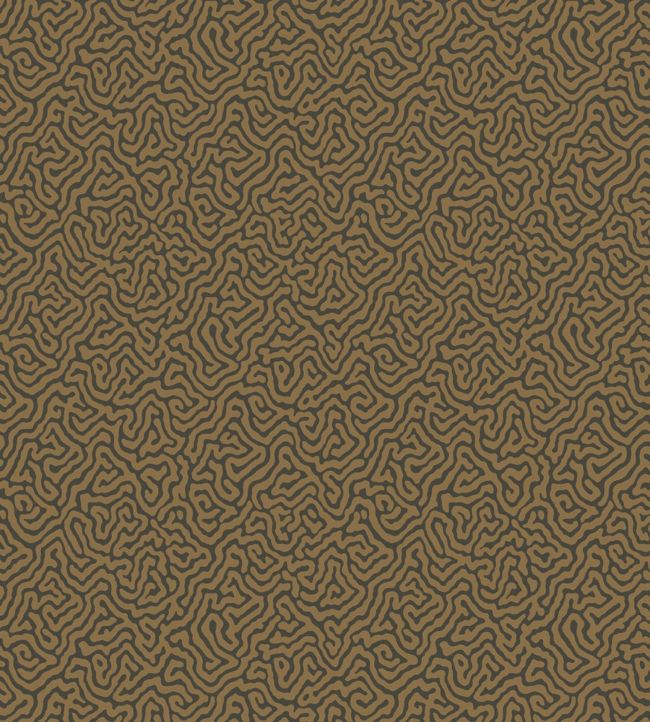 Vermicelli Wallpaper - Brown  - Cole & Son