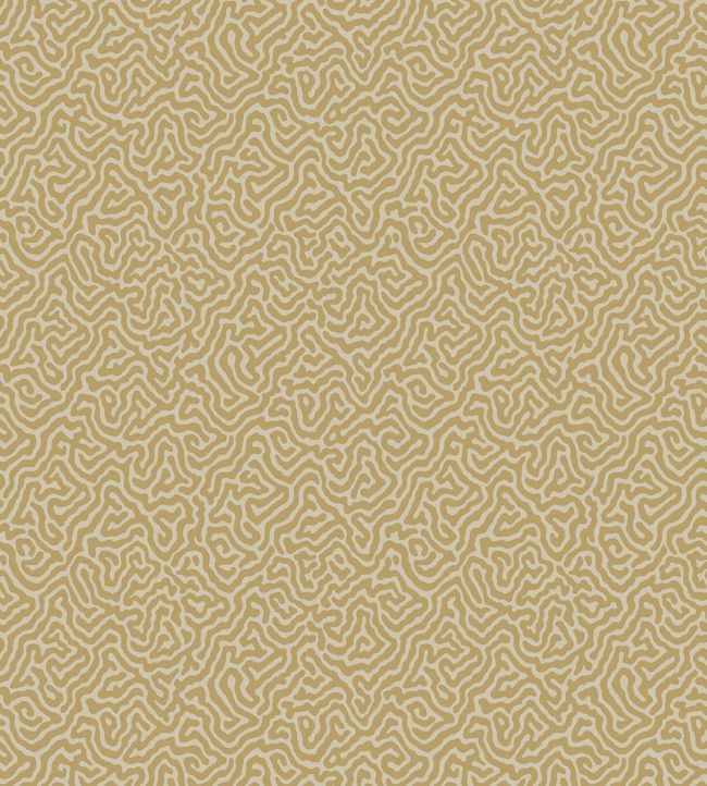 Vermicelli Wallpaper - Sand  - Cole & Son