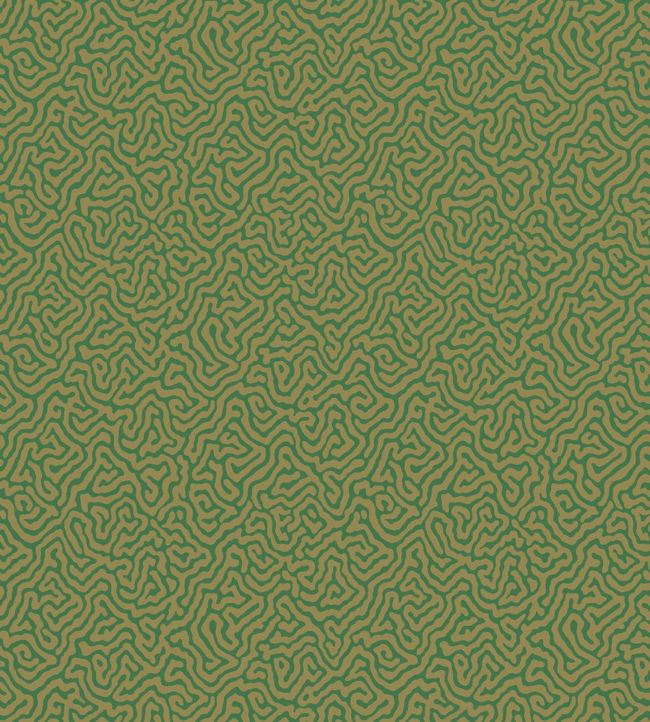 Vermicelli Wallpaper - Green - Cole & Son