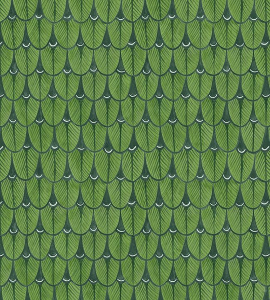 Narina Wallpaper - Green  - Cole & Son