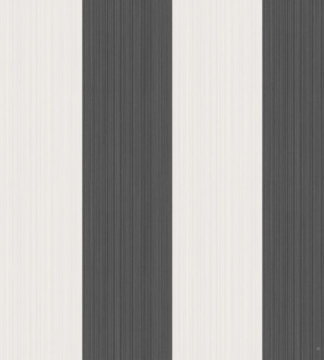 Jaspe Stripe Wallpaper - Black - Cole & Son