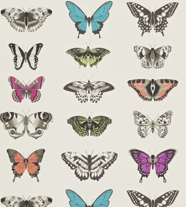 Papilio Wallpaper - Multicolor