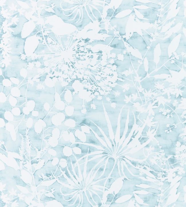 Coralline Wallpaper - Blue