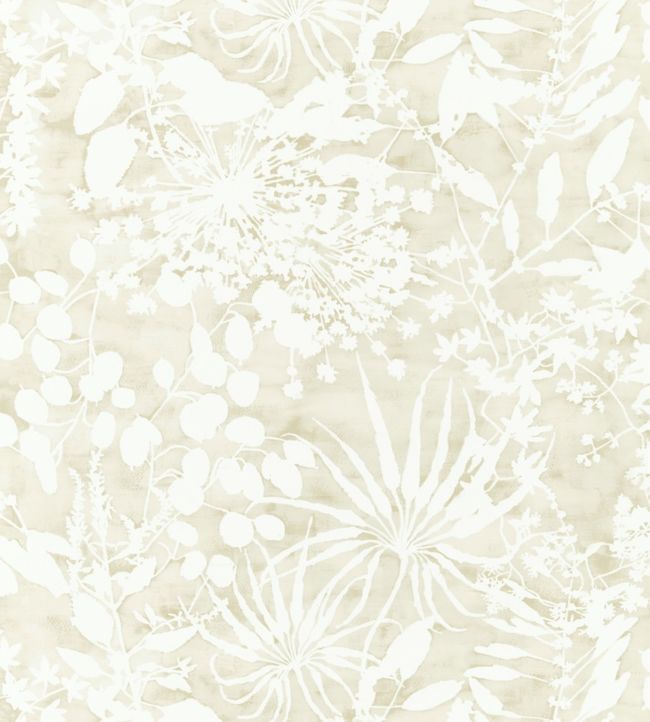 Coralline Wallpaper - Cream