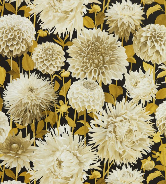 Dahlia Wallpaper - Yellow