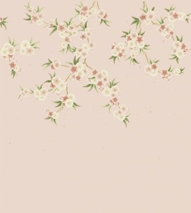 Rosa Wallpaper - Pink