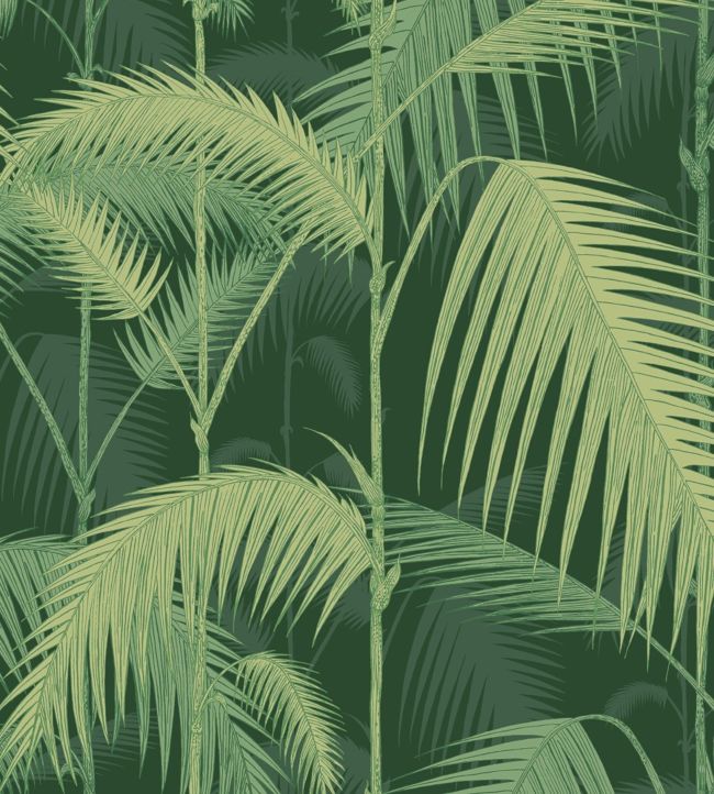 Palm Jungle Wallpaper - Green - Cole & Son