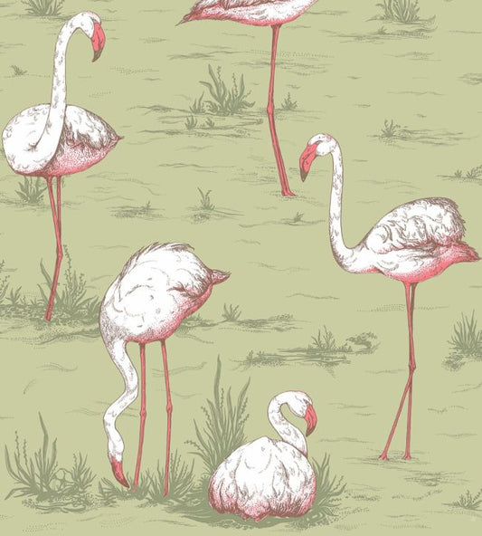 Flamingos Wallpaper - Green - Cole & Son