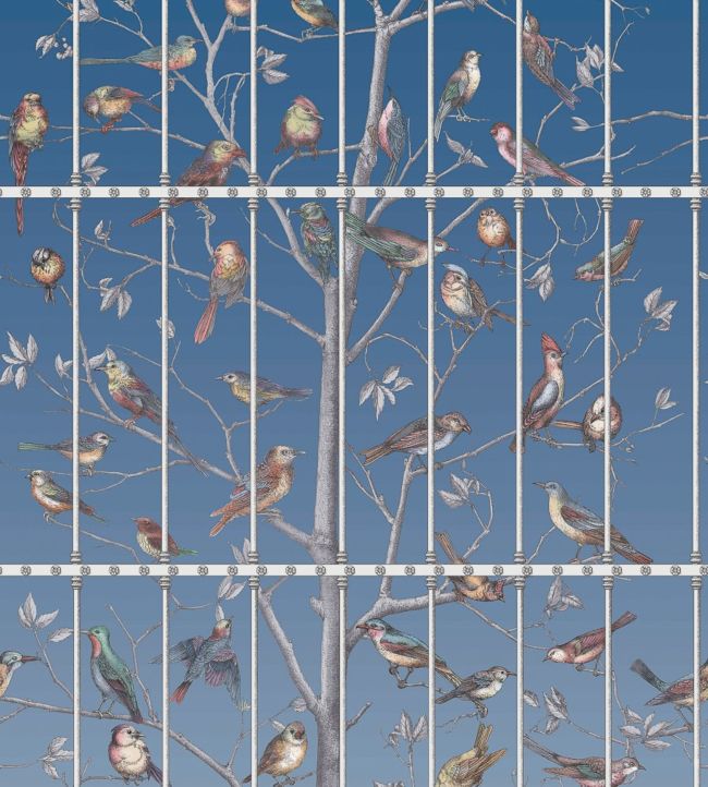 Uccelli Wallpaper - Blue - Cole & Son