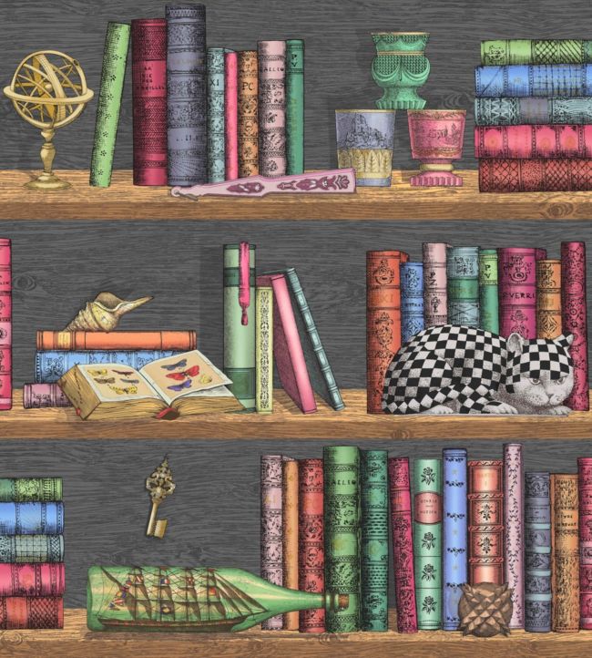 Libreria Wallpaper - Multicolor - Cole & Son