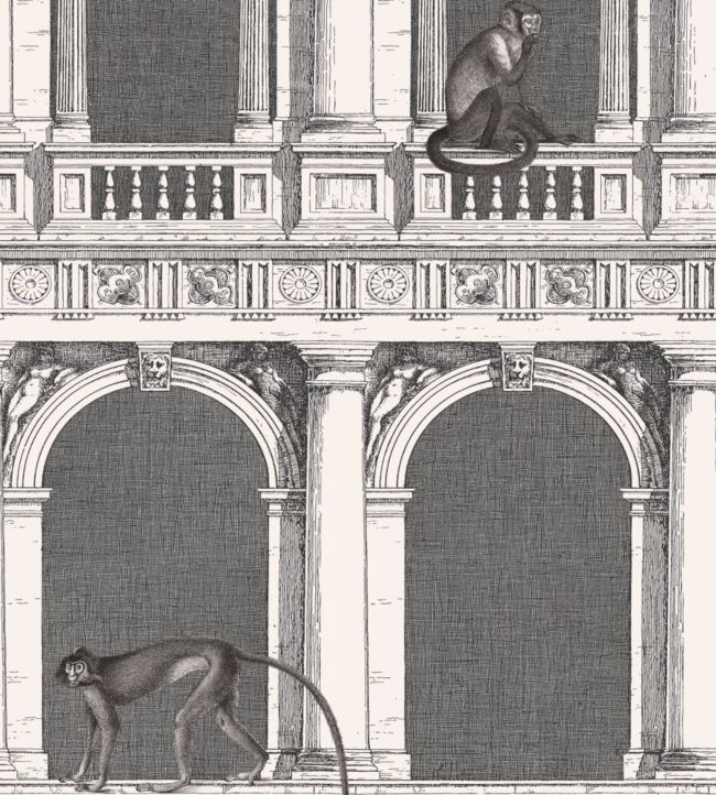Procuratie E Scimmie Wallpaper - Gray