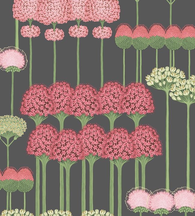 Allium Wallpaper - Pink - Cole & Son