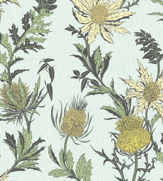 Thistle Wallpaper - Teal 