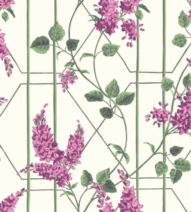 Wisteria Wallpaper - Purple  - Cole & Son