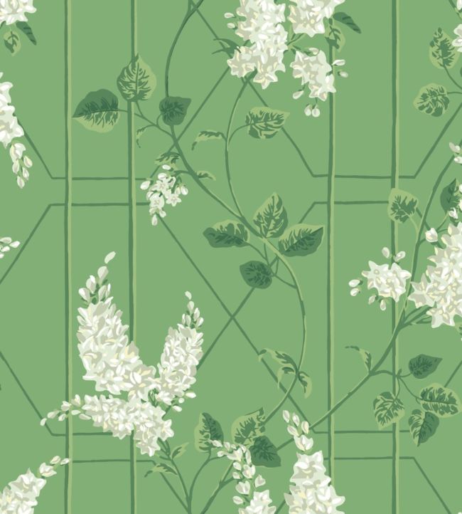 Wisteria Wallpaper - Green - Cole & Son