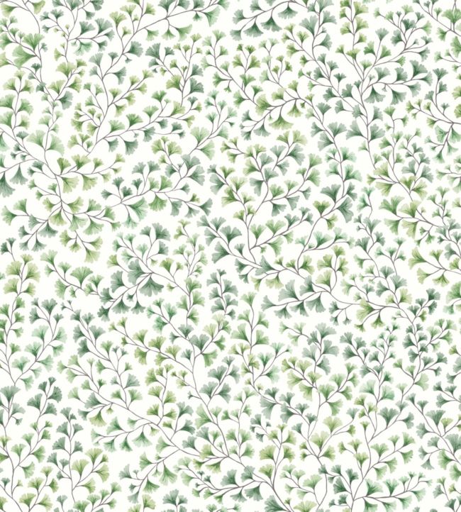 Maidenhair Wallpaper - Green