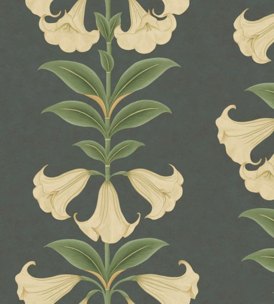 Angels Trumpet Wallpaper - Green - Cole & Son