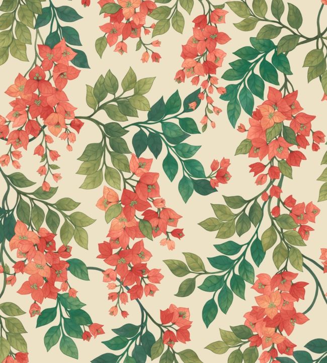 Bougainvillea Wallpaper - Orange