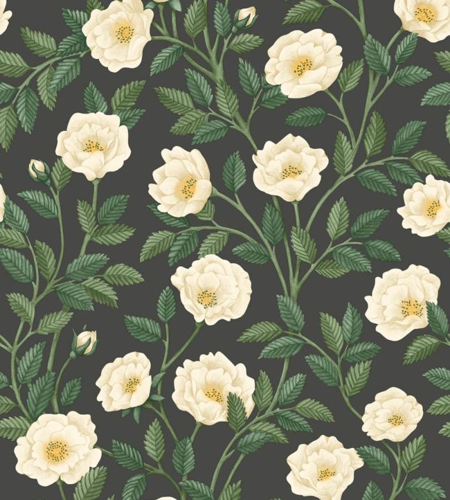 Hampton Roses Wallpaper - Green