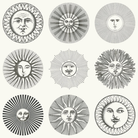 Soli Wallpaper - Gray - Cole & Son
