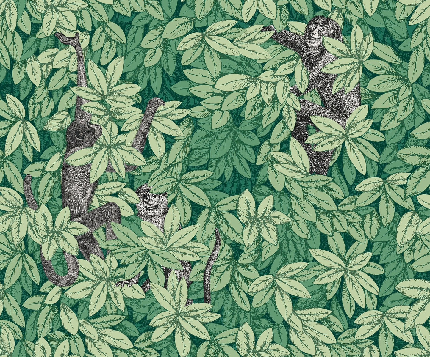 Foglie e Scimmie Wallpaper - Green - Cole & Son
