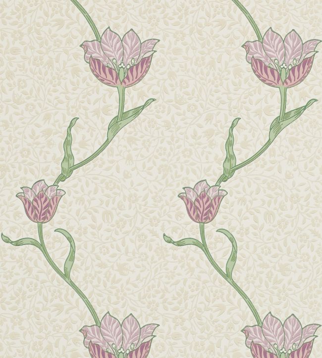 Garden Tulip Wallpaper - Purple