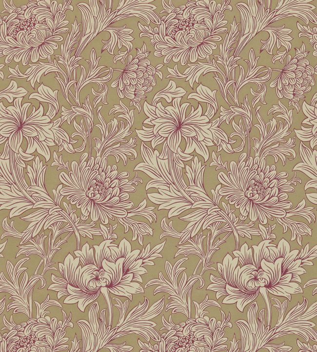 Chrysanthemum Wallpaper - Pink