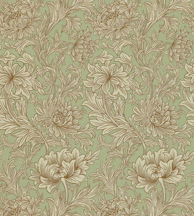 Chrysanthemum Wallpaper - Green