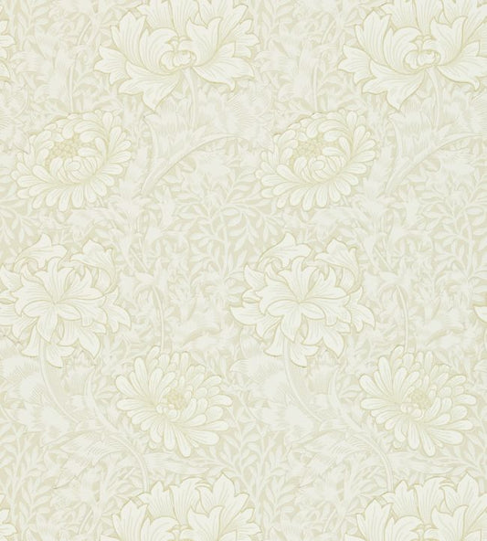 Chrysanthemum Wallpaper - Cream