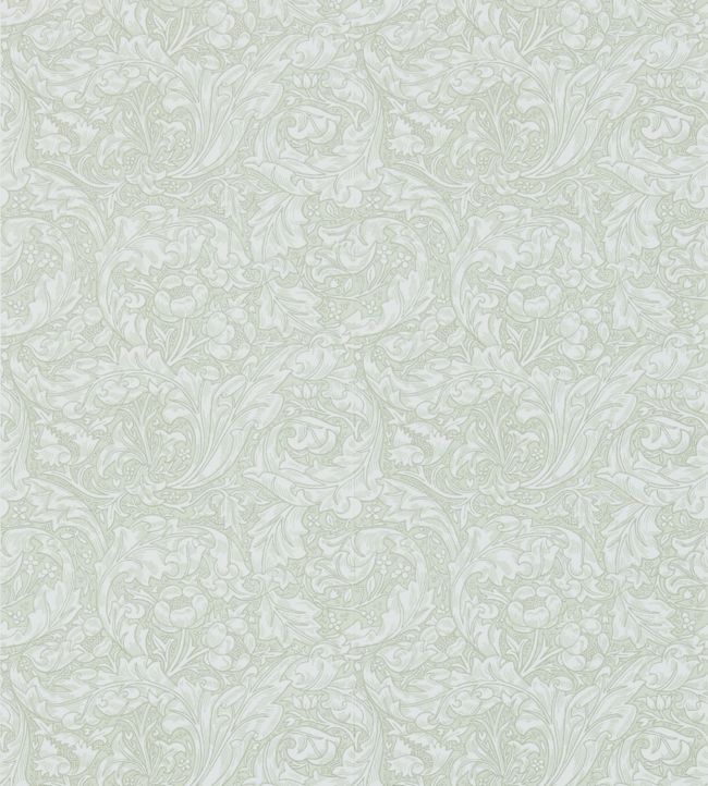 Bachelors Button Wallpaper - Gray