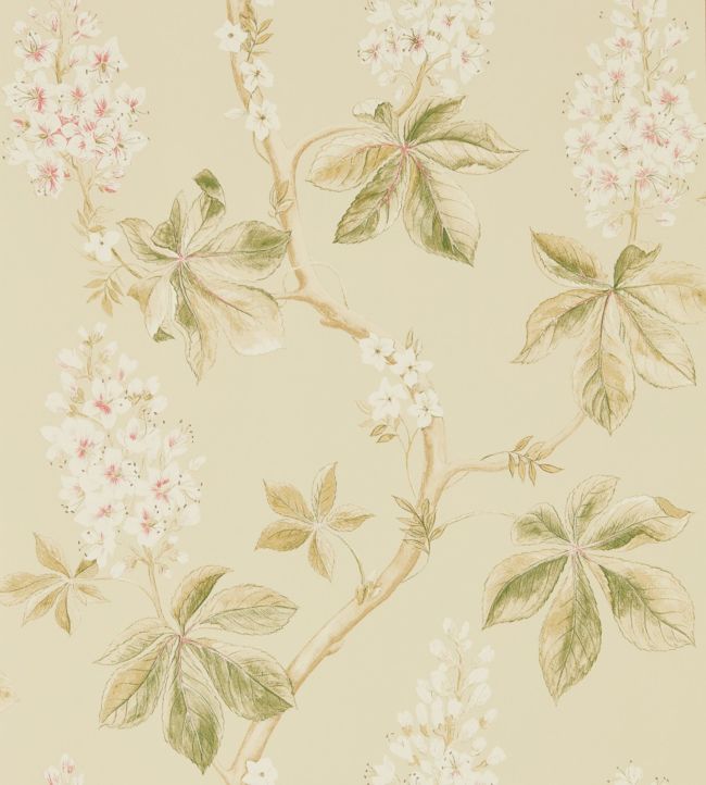 Chestnut Tree Wallpaper - Cream