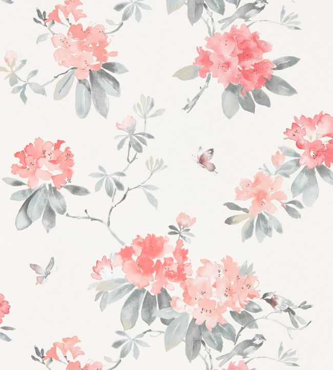 Rhodera Wallpaper - Pink