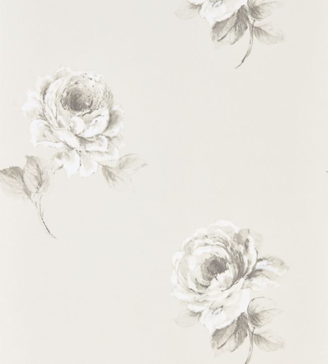 Rosa Wallpaper - Cream