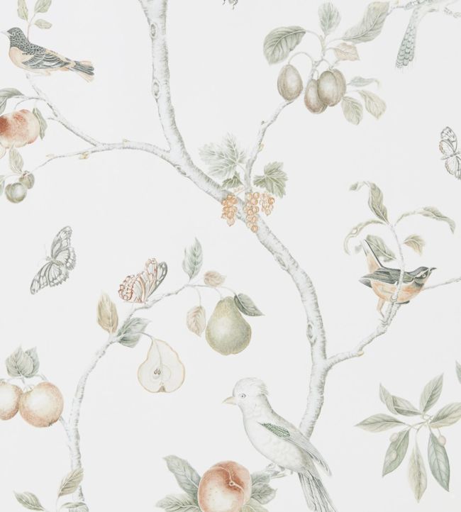 Fruit Aviary Wallpaper - Gray
